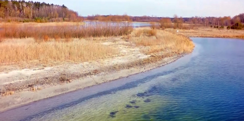 Fot. Stowarzyszenie Ekologiczne Eko-Przyjezierze