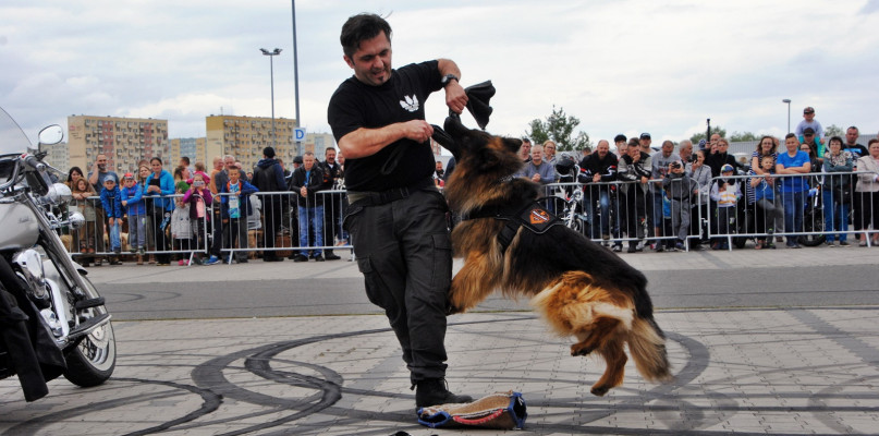 Warto zrozumieć i pokochać psa. Przekonuje Tomasz Sucharski 