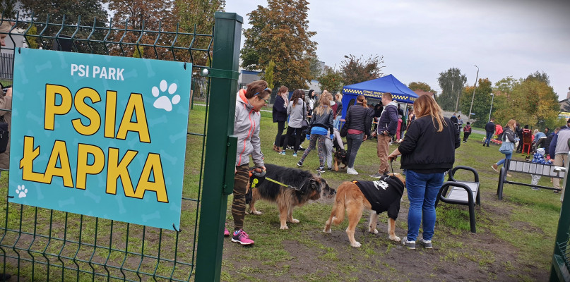 W Inowrocławiu psy mają już swój park rekreacyjny. "Psia Łapka" otwarta