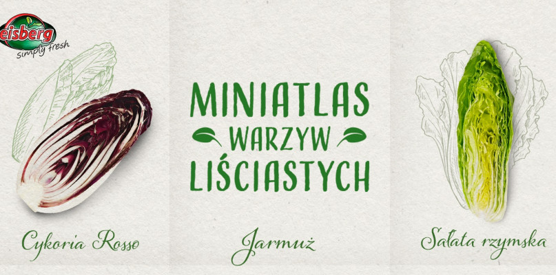  Leksykon warzyw liściastych, czyli zdrowa dawka wiedzy