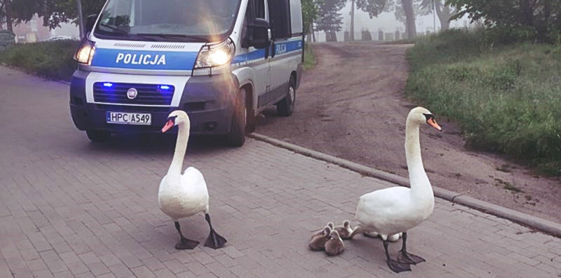 fot. KPP Inowrocław