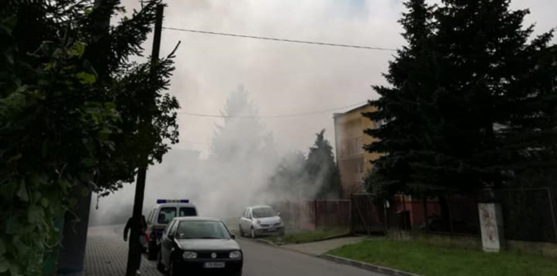 fot. Straż Miejska Inowrocław
