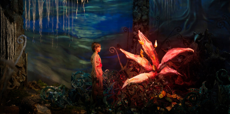 Polska baśń równa "Hobbitowi". Zapraszamy na casting do filmu "Magiczny Kwiat Paproci"