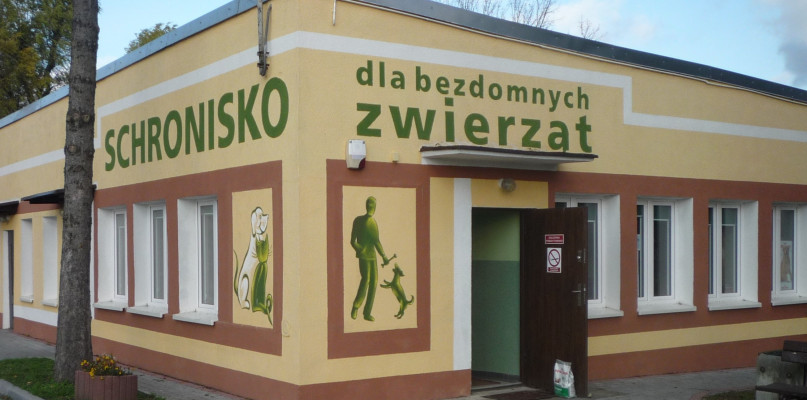 Zebrali ponad pięć tysięcy złotych dla zwierząt w inowrocławskim schronisku