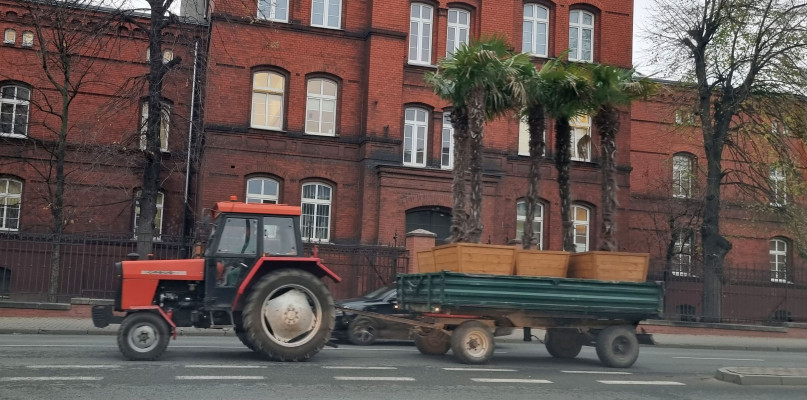 Egzotyczny transport ulicami Inowrocławia
