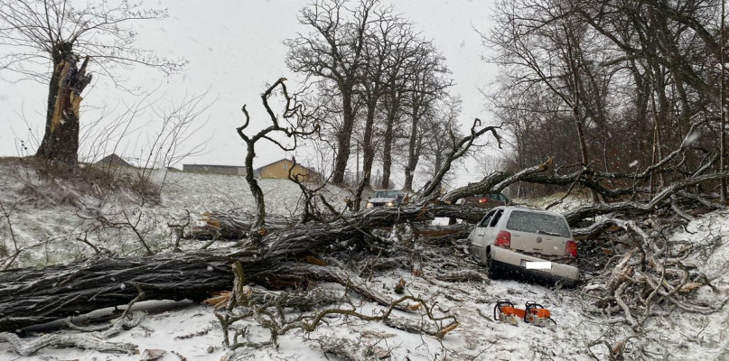 Fot. KPP Radziejów