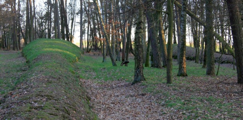 Nadesłane
