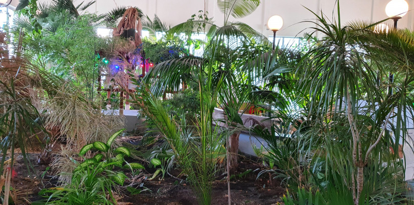 Od 1 maja będziemy płacić za wejście do palmiarni