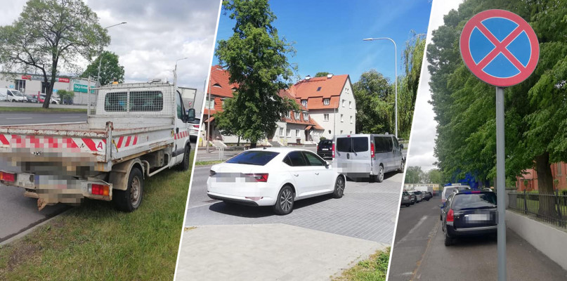 fot. Straż Miejska Inowrocław