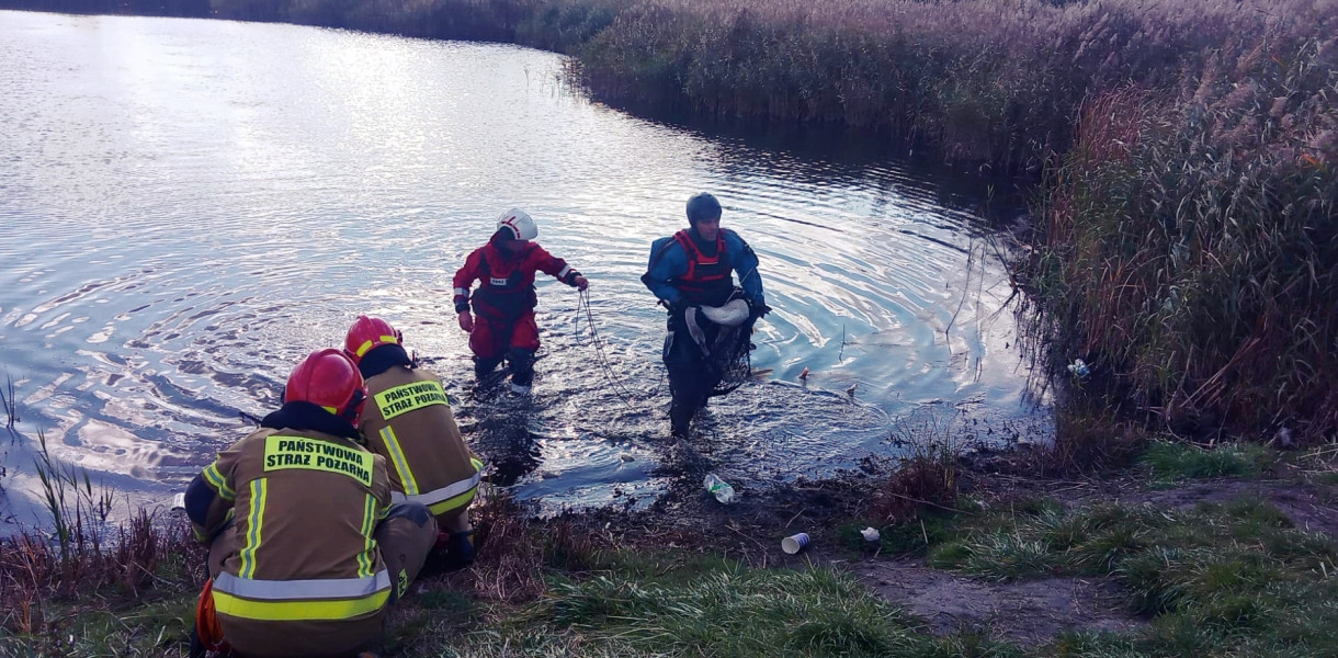 Fot. Straż Miejska Inowrocław