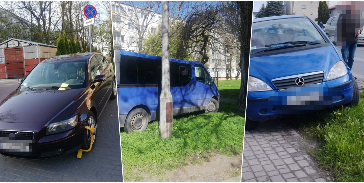 Fot. Straż Miejska Inowrocław