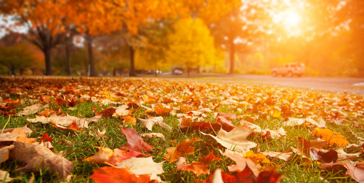 W październiku czeka nas złota, polska jesień, a w listopadzie szaro i ponuro