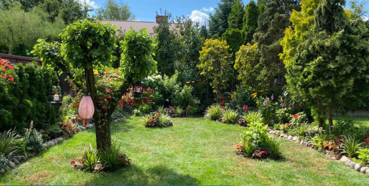 Ogrodnicy roku wybrani. Zobaczcie ich dokonania