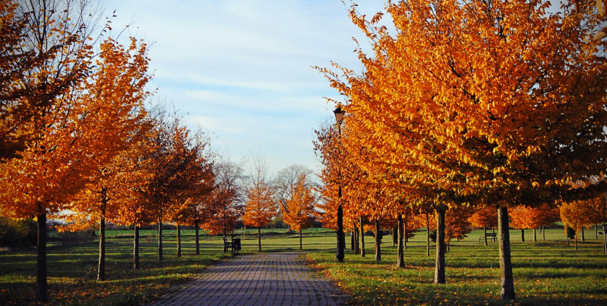 Polska złota jesień w Solankach w obiektywie naszego Internauty