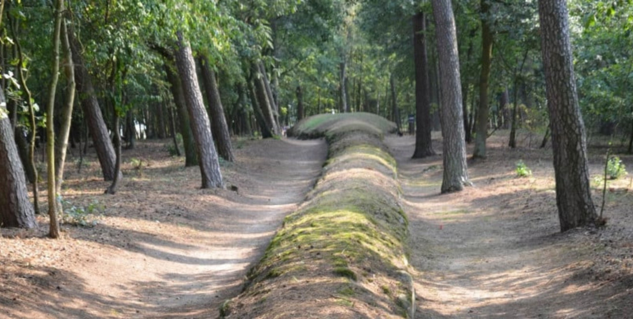 Poczuj się, jak Indiana Jones