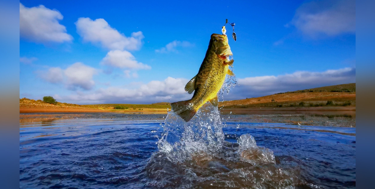 Przynęty spinningowe – jakie mamy rodzaje?
