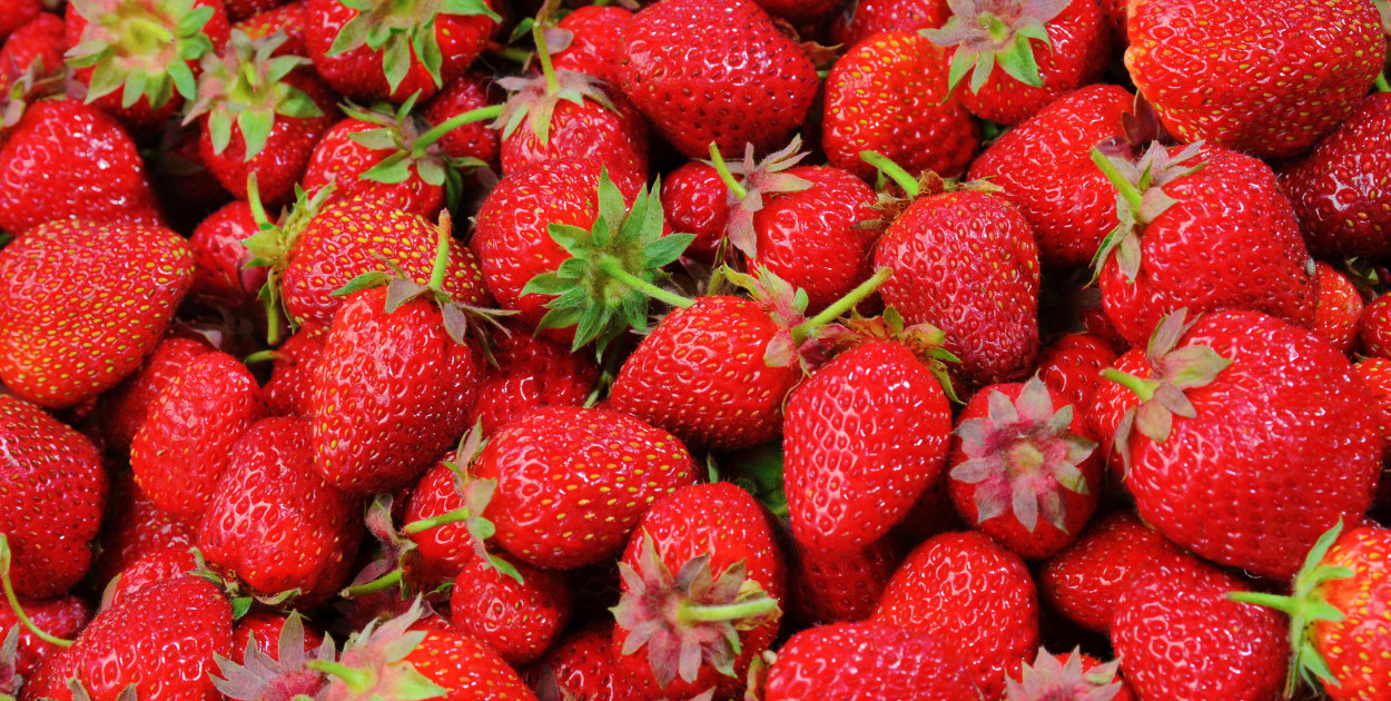 Polskie truskawki już w Biedronce. Cena zwala z nóg!