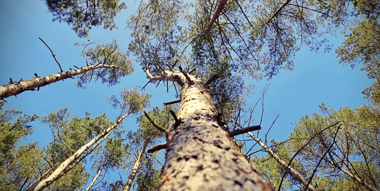 Piękna niedziela zachęca do wyjścia z domu
