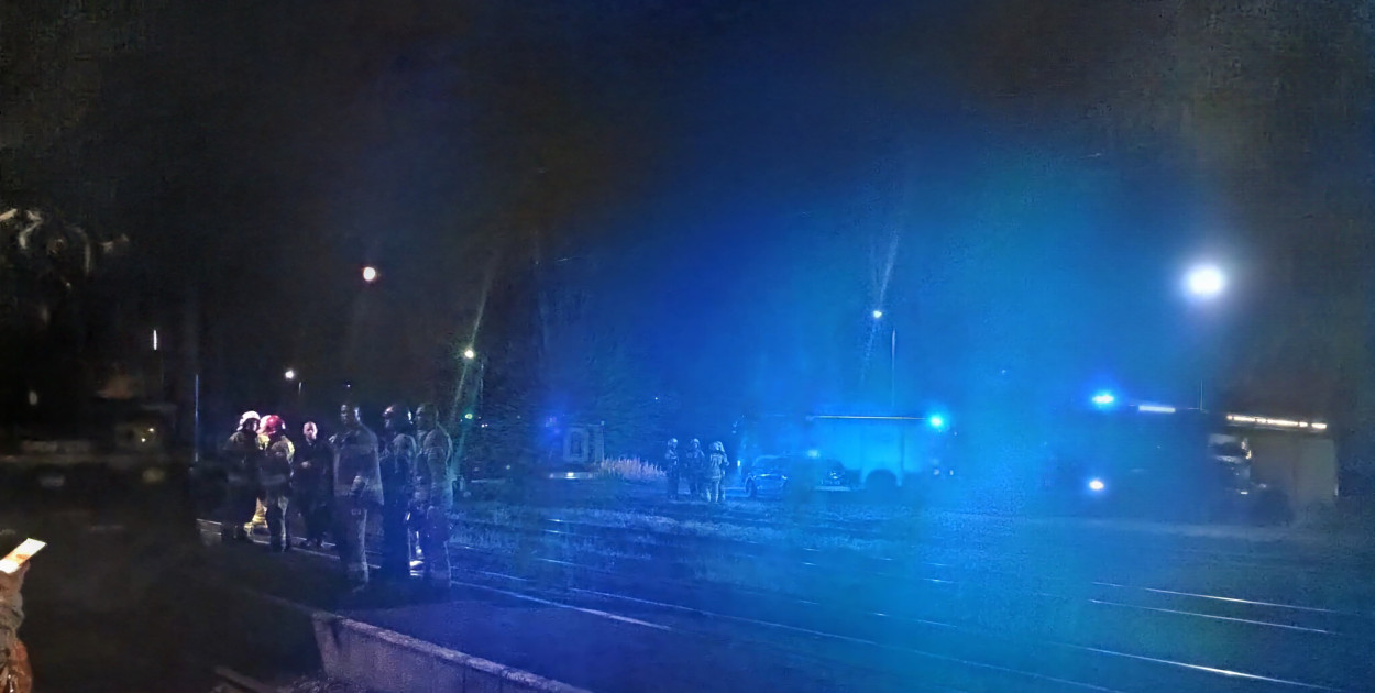 zdjęcie ilustracyjne