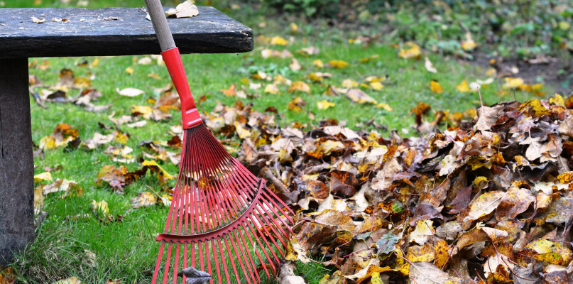 Sprzątamy liście z trawnika - jesienne porządki z Fiskars