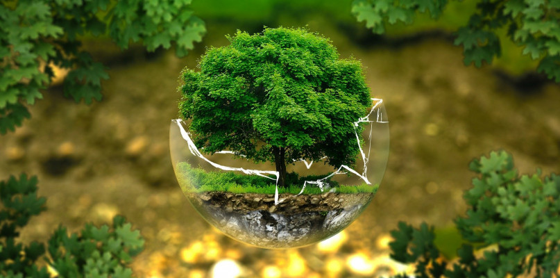 Działajmy razem na rzecz ochrony środowiska to nazwa jednego z konkursów. Zdjęcie ilustracyjne/pixabay