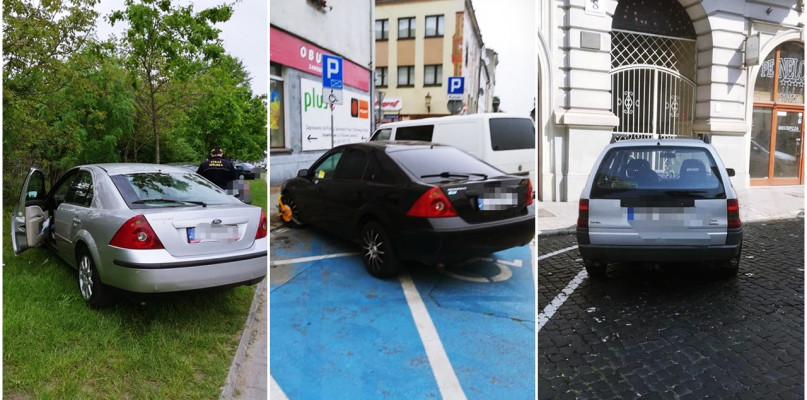 Fot. Straż Miejska Inowrocław