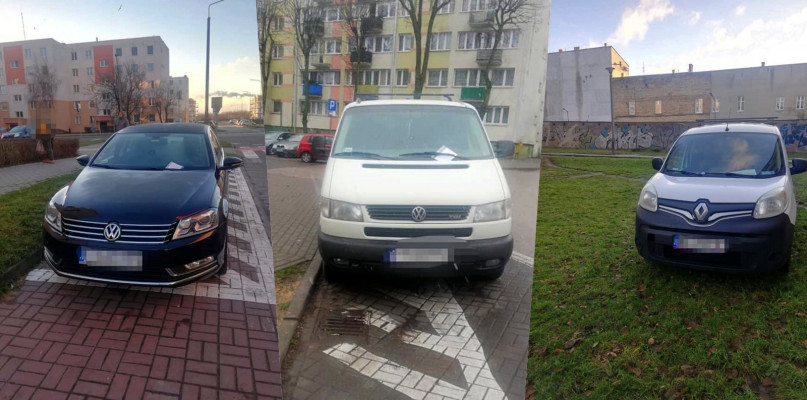 Fot. Straż Miejska Inowrocław
