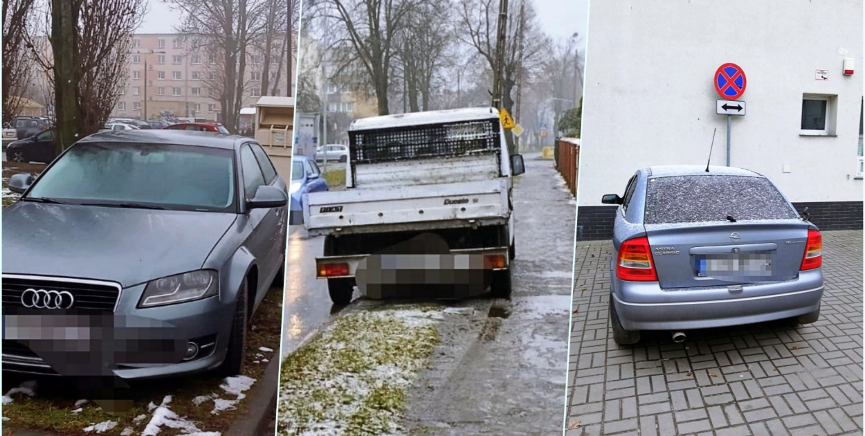 Fot. Straż Miejska Inowrocław