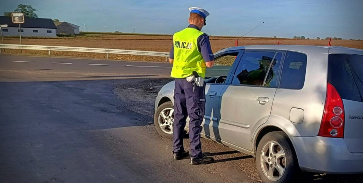 zdjęcie ilustracyjne