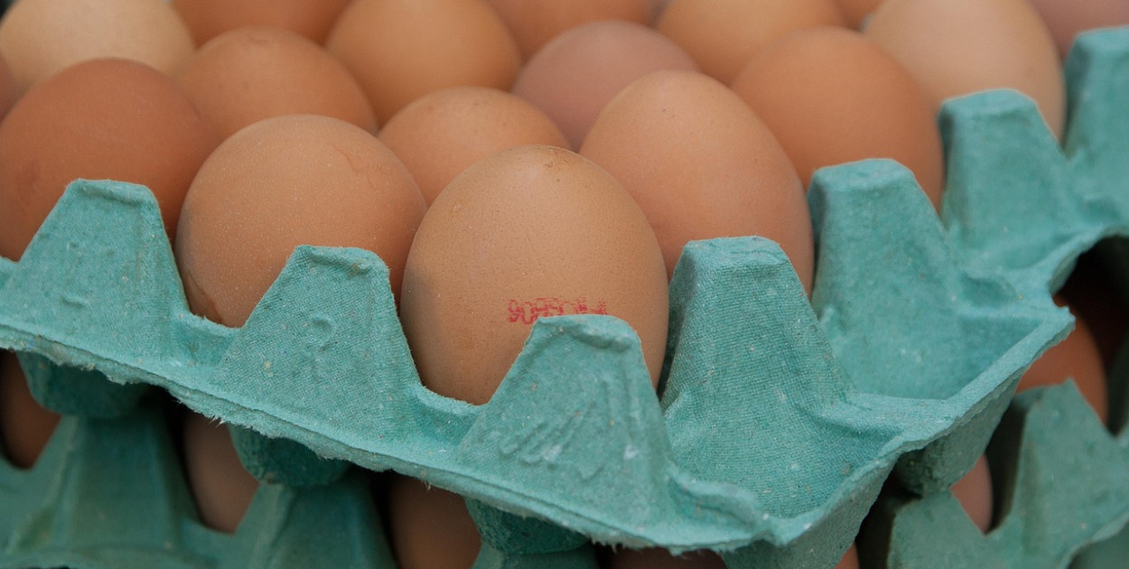 Salmonella na jajach znanej marki. Nie jedz, jeśli masz je w lodówce!