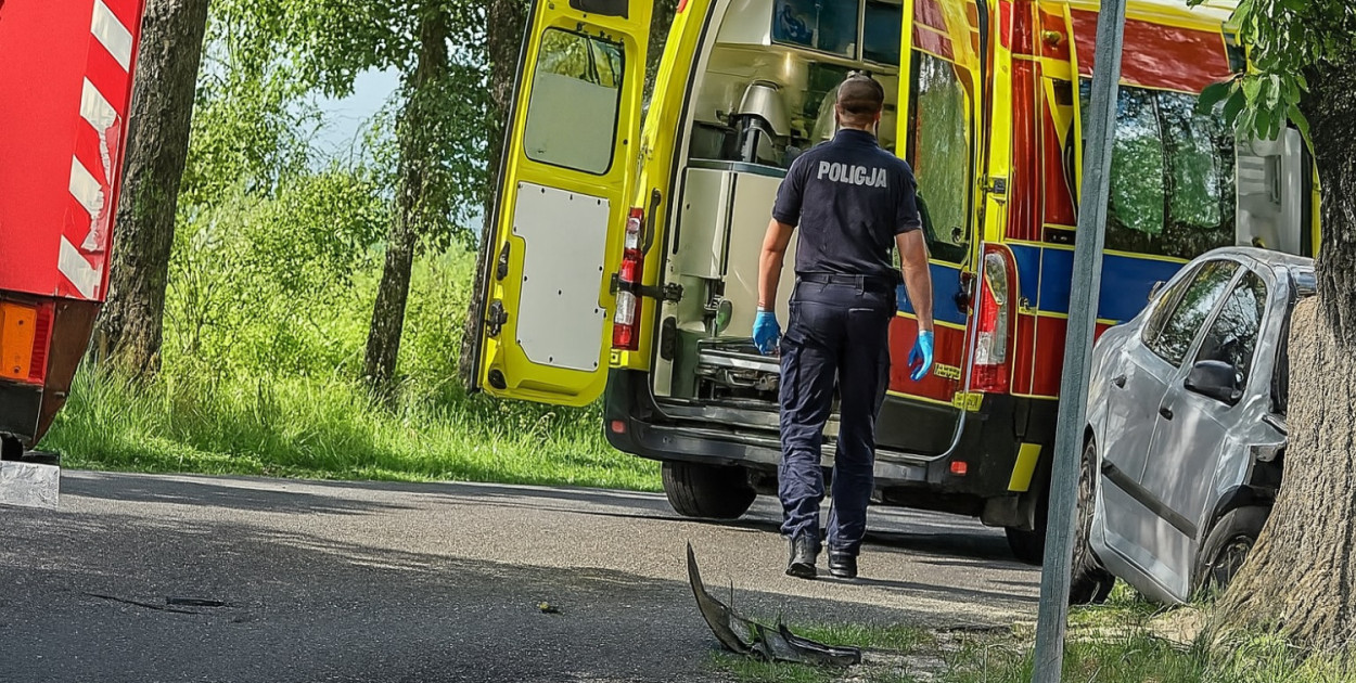 Fot. Partnerski portal MojaKruszwica.pl