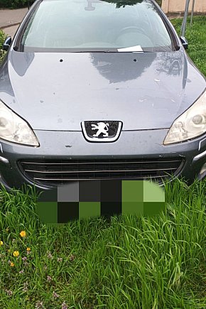 Na trawnikach, zakazach i gdzie się da-5322