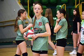 Turniej Piłki Siatkowej na Hali Widowiskowo Sportowej-5339
