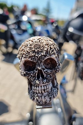 XX Zlot Motocyklowy NA SOLI - pokazy przed galerią-5436
