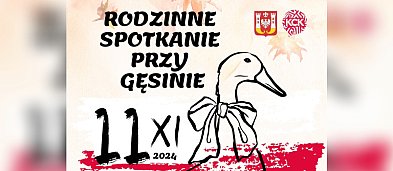 Festyn "Z gęsiną w tle"-4829