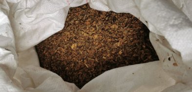 Policjanci przejęli ponad trzysta kilogramów tytoniu bez akcyzy-37770