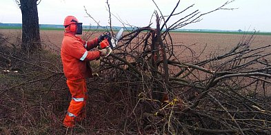 Powiatowi drogowcy mają pełne ręce roboty-43681