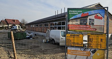 Nowe Dino rośnie jak na drożdżach. Zobaczcie to koniecznie!-46898