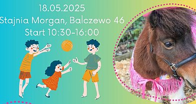 Festyn Rodzinny w Balczewie – konie, dmuchańce i grill dla każdego-48451