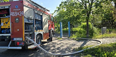 Pożar na działkach w Janikowie. Strażacy i policja apelują o ostrożność-48858