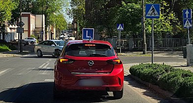 Oto najnowszy ranking zdawalności na prawo jazdy. Kto uczy najskuteczniej?-49084