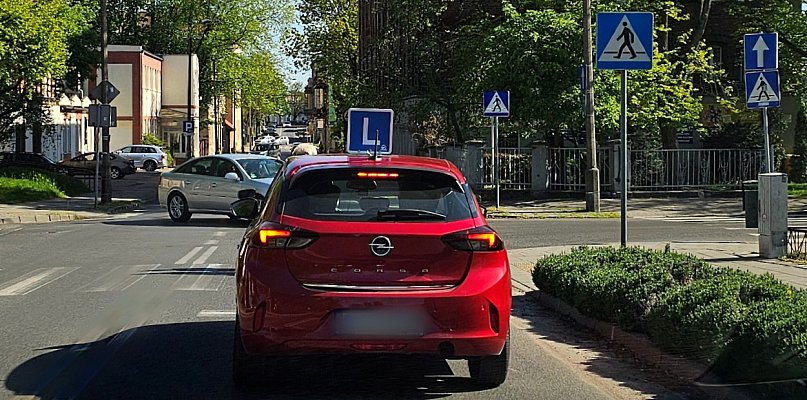 Oto najnowszy ranking zdawalności na prawo jazdy. Kto uczy najskuteczniej? - 49084
