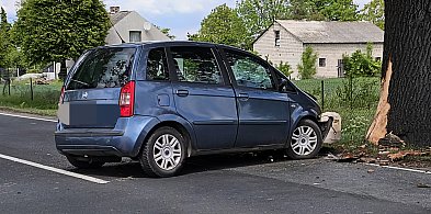 Wypadek na DK 25: Fiat uderzył w drzewo – jedna osoba w szpitalu-49110