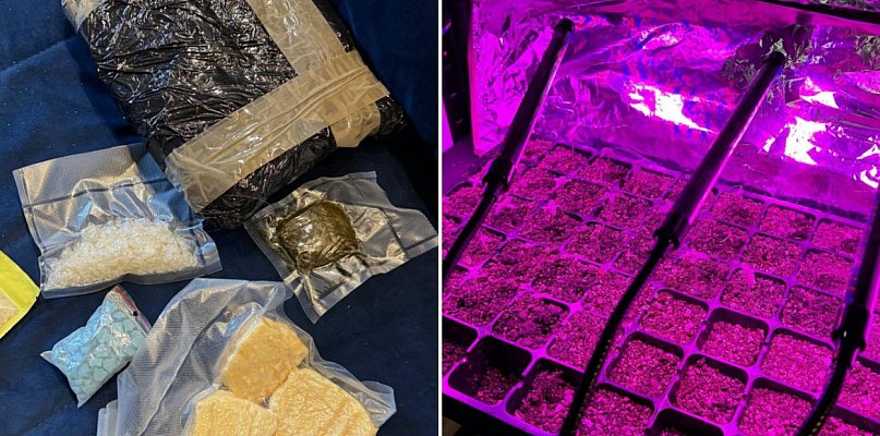 24-latek zatrzymany z ponad 3 kg narkotyków i 35 sadzonkami konopi - 49370