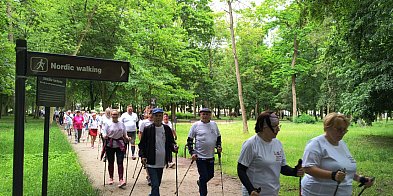 Nordic Walking na 150-lecie Uzdrowiska Inowrocław przyciągnął tłumy-49584