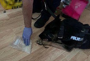 Przejechał rowerem przez pasy i wpadł z narkotykami-49878