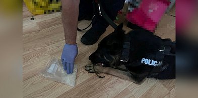 Przejechał rowerem przez pasy i wpadł z narkotykami-49878