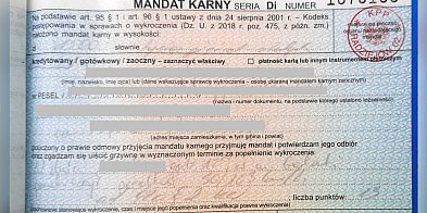 Pędził przez wieś ponad setką – policja bezlitosna-49890