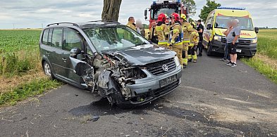 Auto uderzyło w drzewo, jedna osoba trafiła do szpitala-50091