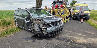 Auto uderzyło w drzewo, jedna osoba w szpitalu-50091